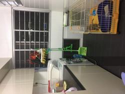 Blk 651 Woodlands Ring Road (Woodlands), HDB 4 Rooms #130446632